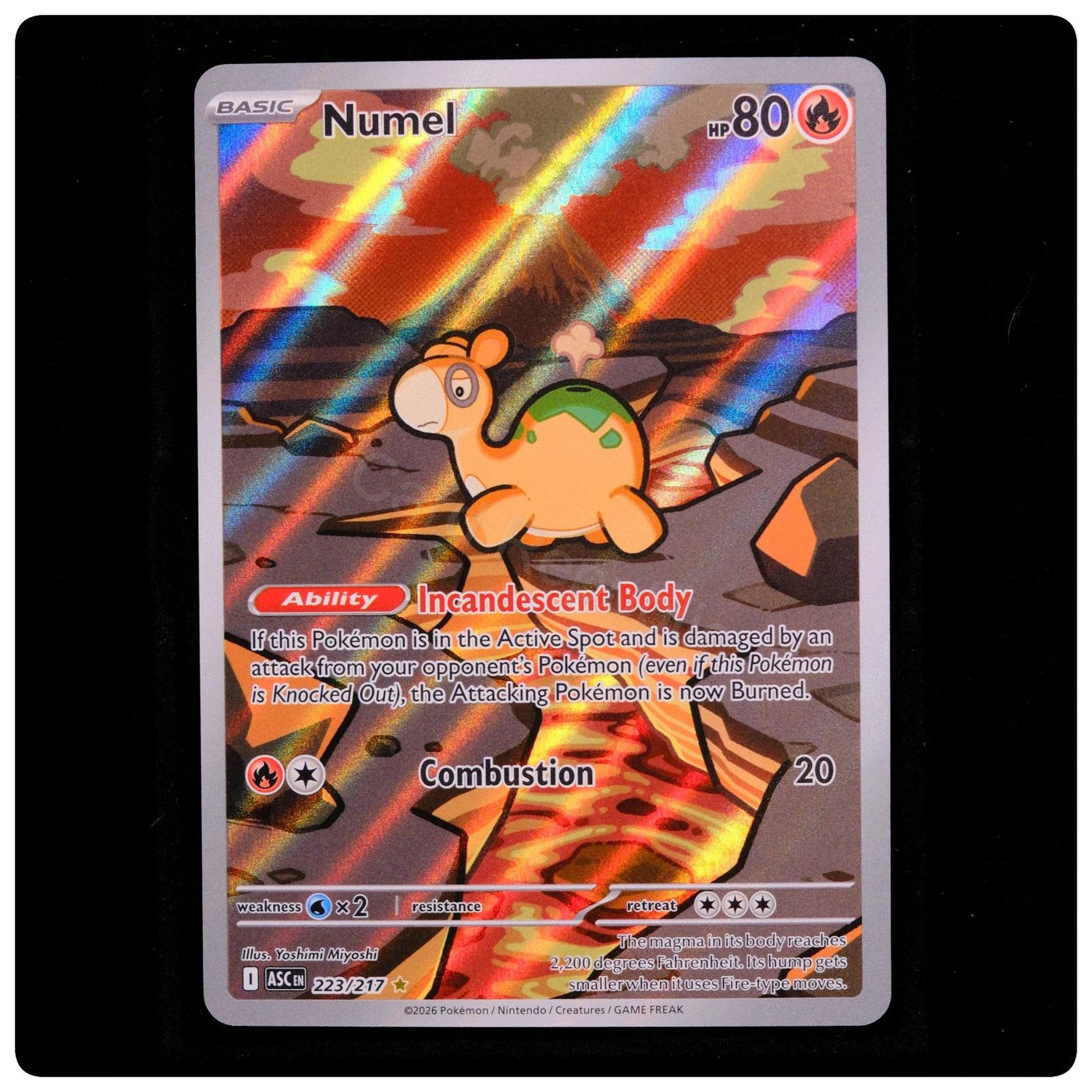 Numel 223/217 Illustration Rare - Ascended Heroes 2026 Pokemon Holo - - NM/M