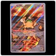 Numel 223/217 Illustration Rare - Ascended Heroes 2026 Pokemon Holo - - NM/M
