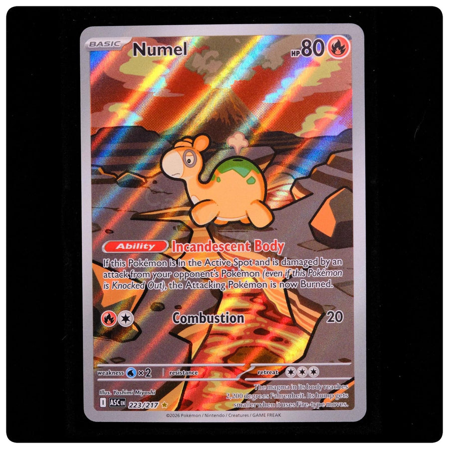 Numel 223/217 Illustration Rare - Ascended Heroes 2026 Pokemon Holo - - NM/M