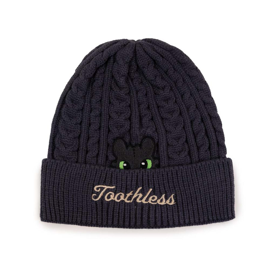 How to Train Your Dragon: Toothless Chibi Beanie
