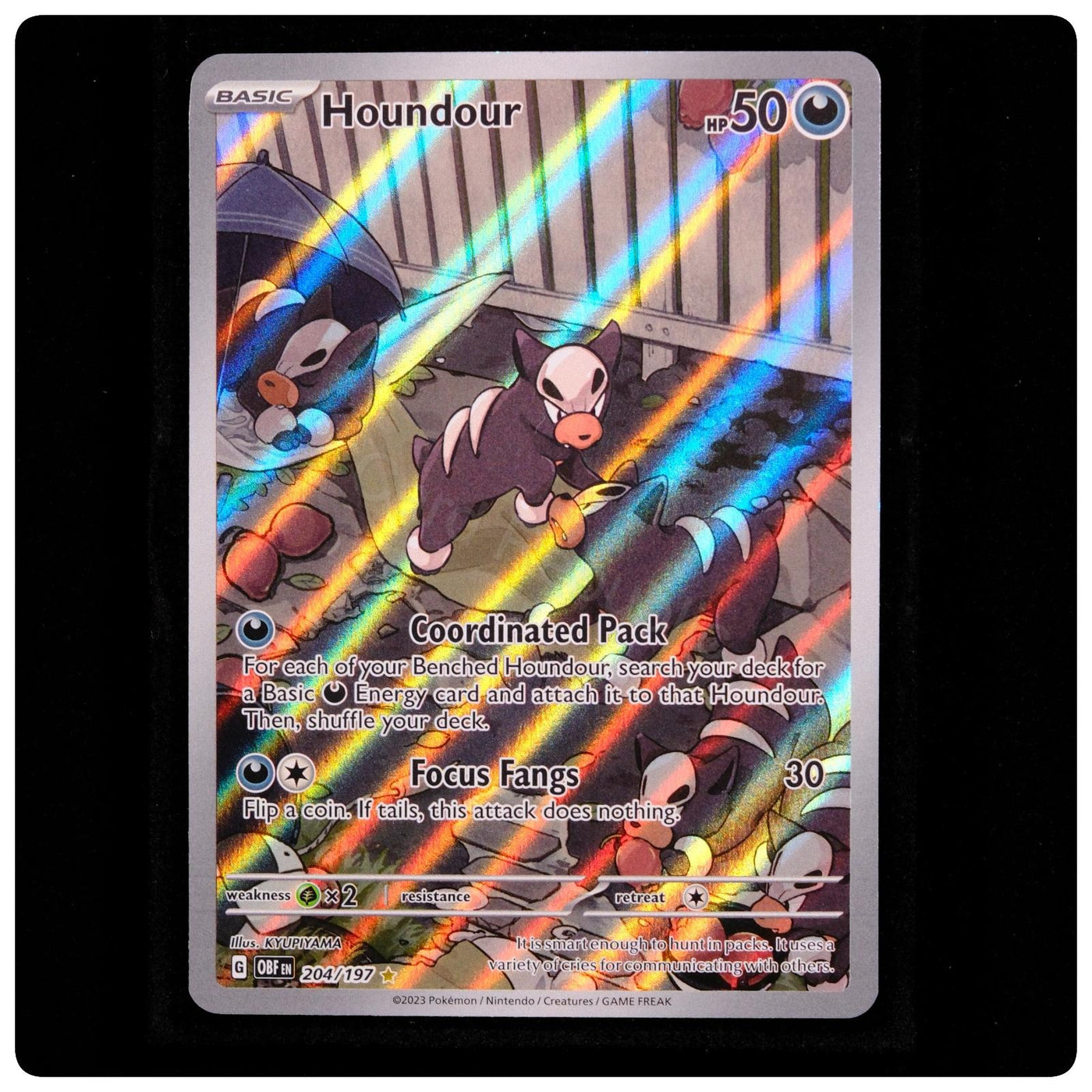 Houndour 204/197 - Obsidian Flames Pokemon Holo - KYUPIYAMA - NM